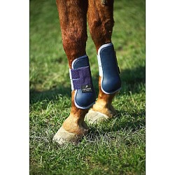 Peesbeschermers, pony