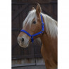 Halster voor trekpaard, Shire