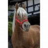 Halster voor trekpaard, Shire