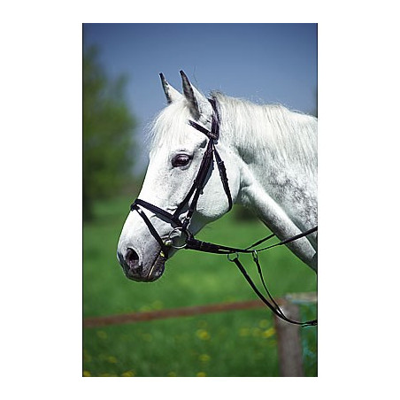 Synthetisch (trainings) hoofdstel Synthetisch (trainings) hoofdstel